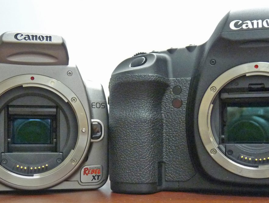 Differences between SLR and DSLR cameras - Ideas by Mr Right