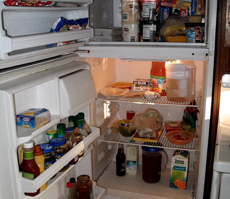 Why a Refrigerator Light Keeps Going Out - Appliance Repair Specialists